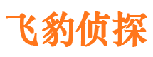 大兴安岭市私家侦探